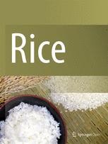 cover: Rice