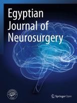 Journal cover: Egyptian Journal of Neurosurgery